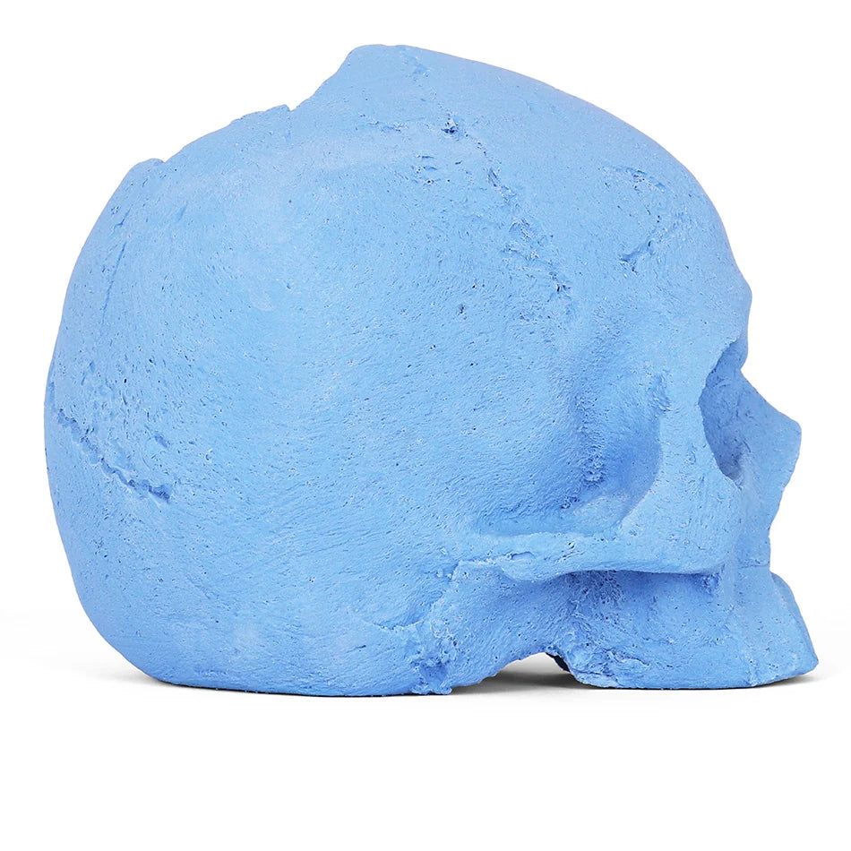 Ceramic Fire Skull - Blue - Medium