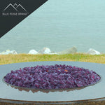 Purple Non-Reflective Tempered Fire Glass