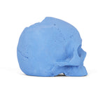 Ceramic Fire Skull - Blue - Medium
