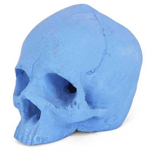 Ceramic Fire Skull - Blue - Medium