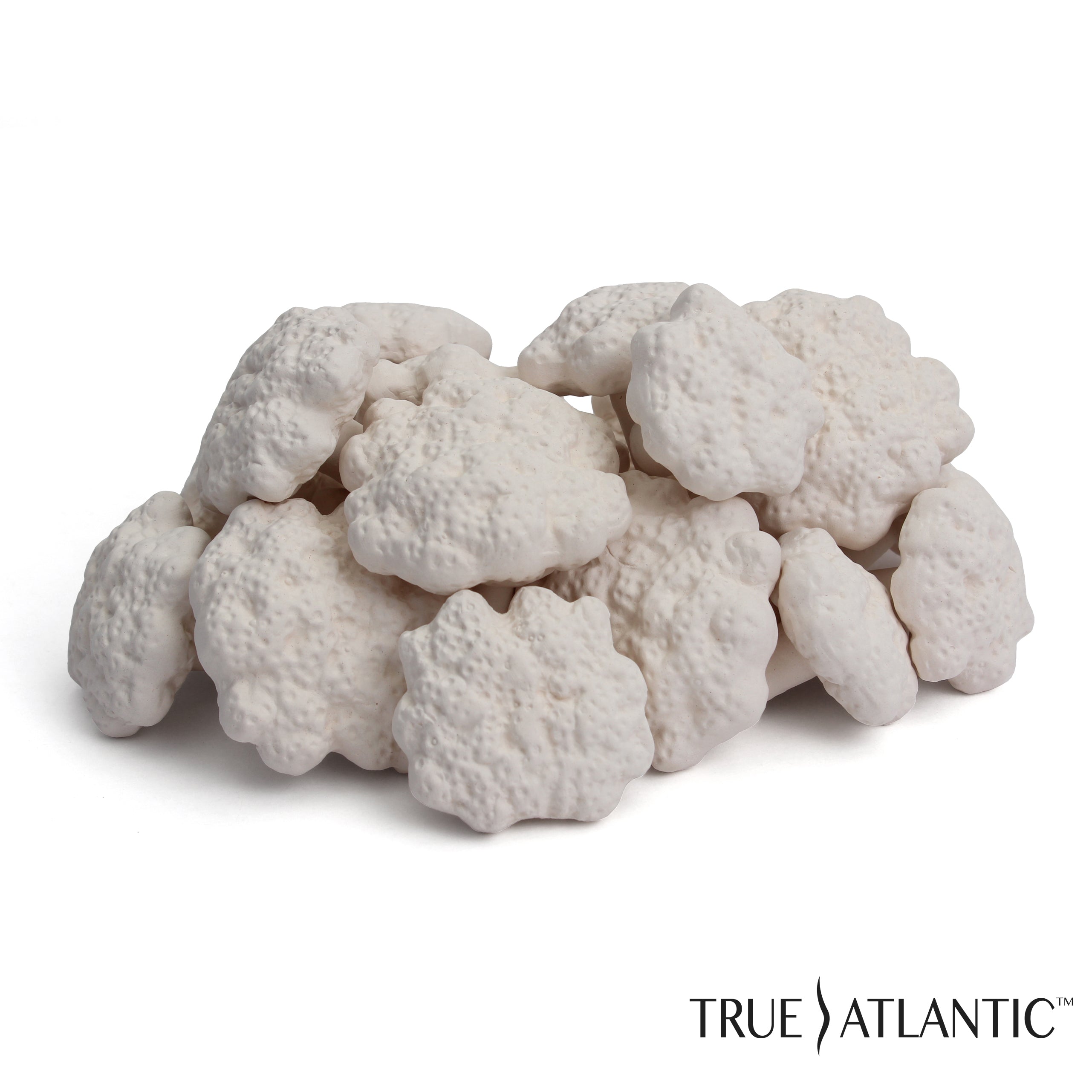 True Atlantic - Frag Rock Station – Blue Ridge Brand